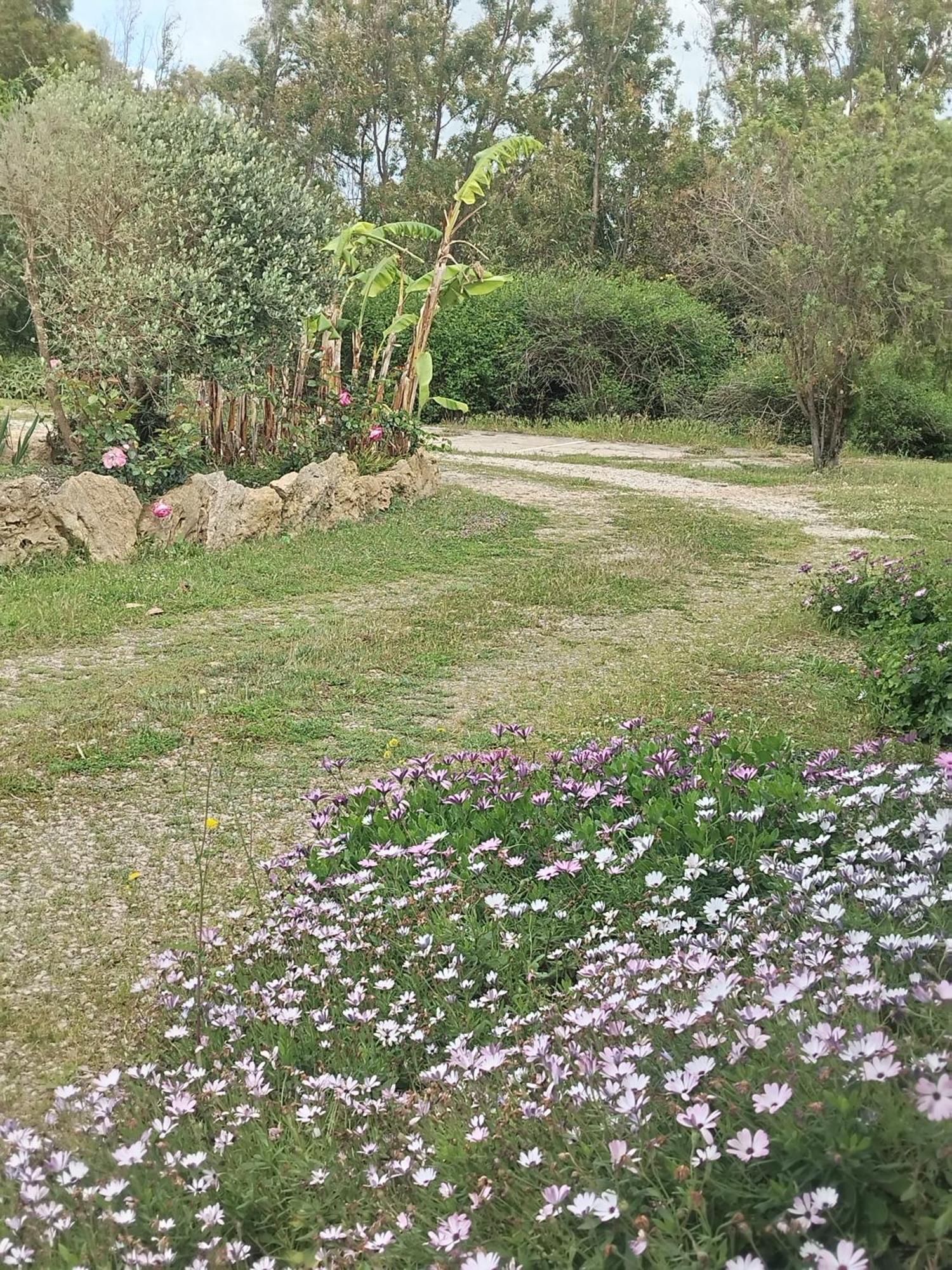 Camera Serraona Alghero Exteriér fotografie
